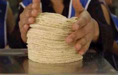 El mexicano consume en promedio hoy tres cuartas partes de las tortillas que ingería hace...