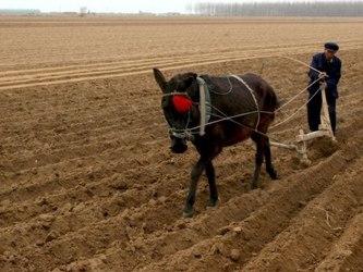 La Secretaría de la Reforma Agraria informó que el monto de los recursos recaudados...