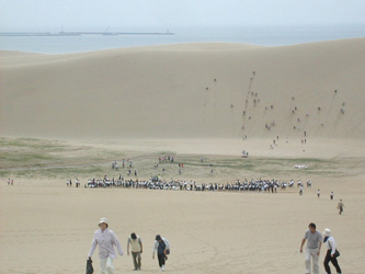 Las dunas de Tottori, nutridas de arena volcánica, se extienden en una superficie de 16...