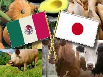 Japón, segunda economía mundial, y México firmaron un TLC que entró en...