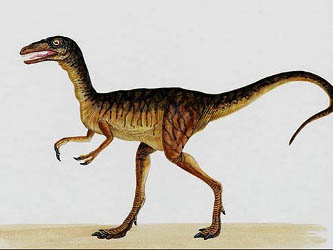 El Periódico de México | Noticias de México | CienciaTecnologia |  Dinosaurios con características de aves vivieron hace 163 millones de años