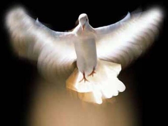 El Espíritu Santo es quien, con sus inspiraciones, va dando tono sobrenatural a nuestros...