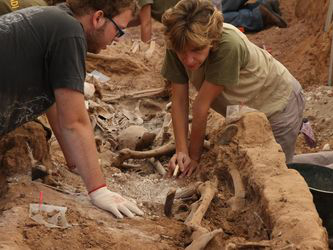 El número de restos encontrados les lleva a pensar que han encontrado la fosa que buscaban,...