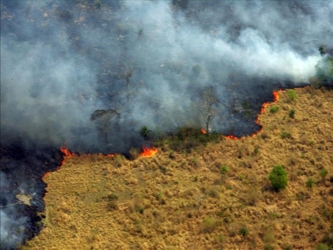 Otros incendios crepitaban en medio de un clima caluroso y seco desde Wyoming hasta Arizona y el...