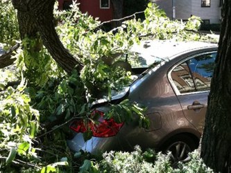 La caída de árboles causó la muerte de seis personas en Virginia, dos en Nueva...
