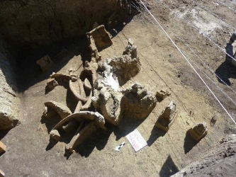 Unos huesos de mamut hallados al excavar una planta de drenaje de aguas residuales en Atotonilco de...