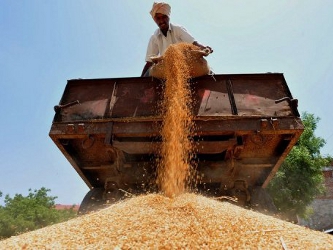 El granjero indio Thummala Venkatesh descarga su producción en Bhongir, distrito de Nalgonda...