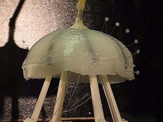Por ejemplo, el trabajo con la medusa robot en Texas y Virginia se concentra en determinar la forma...