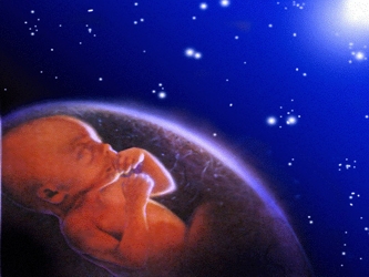 Una vez más es preciso afirmar que el aborto implica la destrucción de la vida de un...