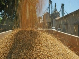 Ucrania recolectó un récord de 63 millones de toneladas de cereales en el 2013,...