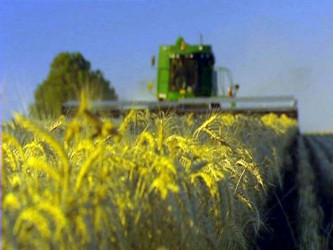 Agrupaciones campesinas destacaron que el sector agropecuario requiere una reforma profunda,...
