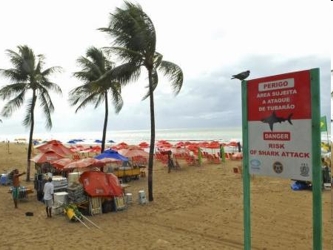 La playa Boa Viagem registra un alto número de ataques de tiburones y una cifra sobre el...