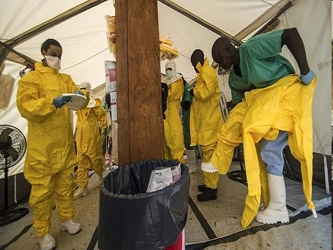 El brote de ébola que se inició en África Occidental en marzo ha provocado la...