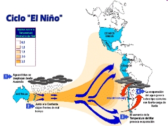 El Niño es un fenómeno atmosférico asociado con el entibiamiento de las...