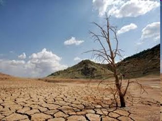 Mientras que la gente en las regiones estadounidenses azotadas por la sequía, como...