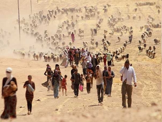 Mientras los peshmergas kurdos y las tropas iraquíes continúan con la ofensiva para...