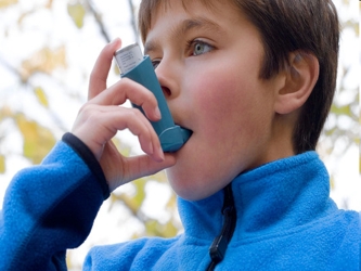 Aún hay mucho que no se comprende sobre el asma alérgica, causada por una repuesta...