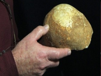 Los investigadores dijeron que las características del cráneo sugieren que el...