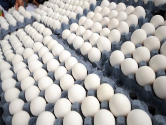 Rick Brown, analista de la industria de huevos para la firma Urner Barry, dijo que eso se debe a...