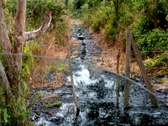 La mancha de petróleo, que en un principio abarcó partes del río Mira y...