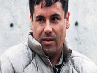 El Chapo Guzmán se hizo cargo de las operaciones de transporte  de cocaína...