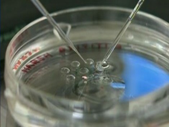 Polonia ya permite la fecundación in vitro en clínicas privadas, aunque este...