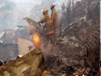 Al menos 31 incendios forestales han destruido bosques y vegetación en siete de los 32...