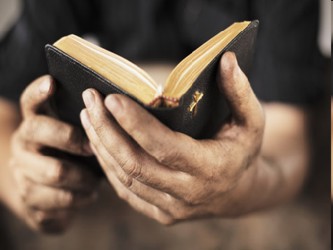 La lectura diaria de los textos bíblicos litúrgicos es una excelente ayuda para...