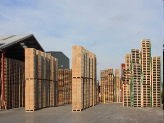 La demanda africana de madera en rollo, que se utiliza en la industria, podría aumentar...