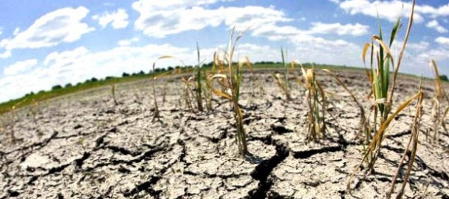 Los efectos del cambio climático en la agricultura y la cadena alimentaria pueden provocar...