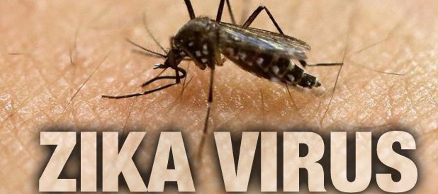En un reporte semanal previo, la agencia de Naciones Unidas ya había afirmado que el virus...