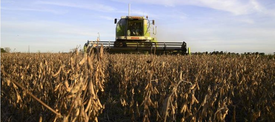 El fabricante de semillas viene analizando con el gobierno de Argentina un plan de cobro de...