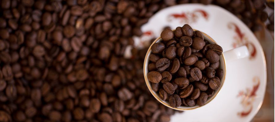 Las plantas de café crecen con éxito en ambientes estables, donde una...