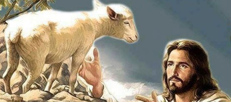  «Dirigíos más bien a las ovejas perdidas de la casa de Israel. Id proclamando que...
