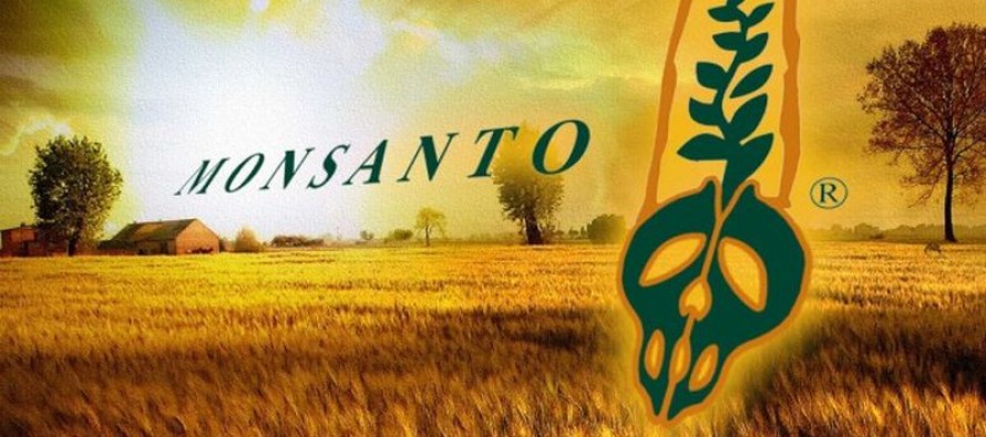 Las firmas desarrolladoras de granos, lideradas por Monsanto buscan que los productores paguen...