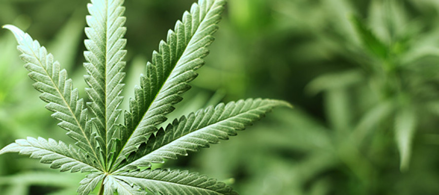 Las ventas anuales de la industria legal de la marihuana en Colorado, tanto medicinal como...