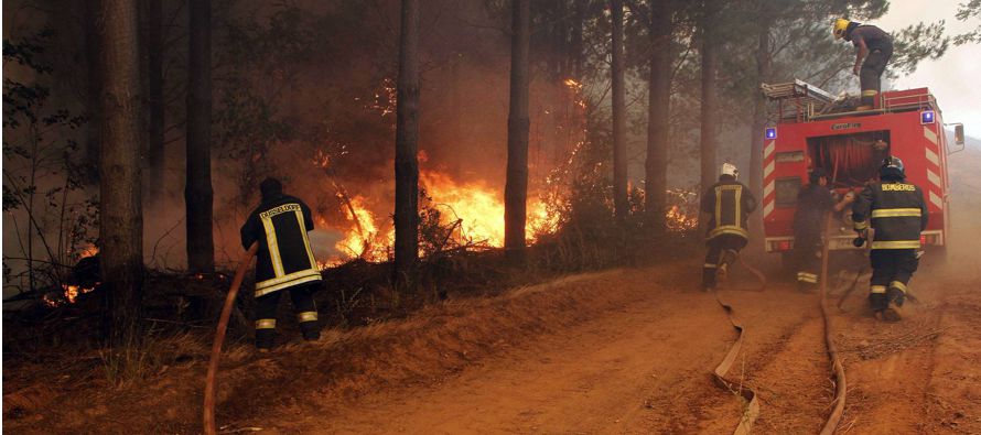 "Enfrentamos el mayor desastre forestal de nuestra historia, con un área afectada 20...