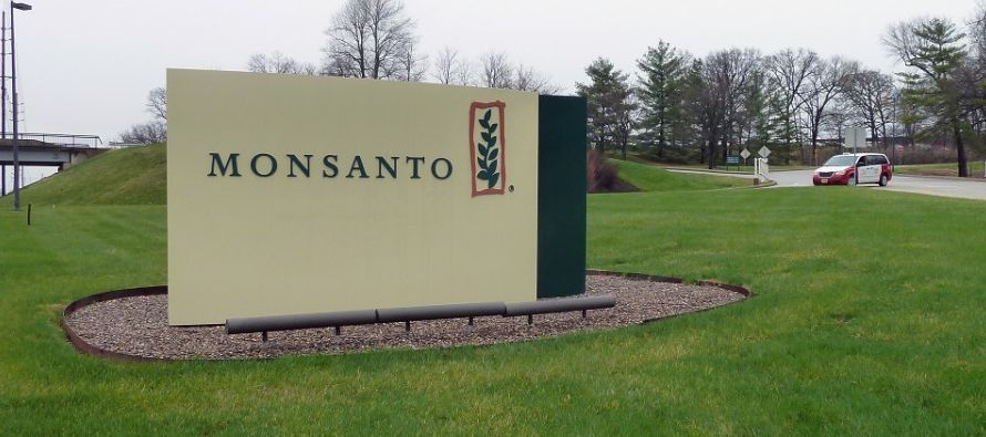 La empresa de agroquímicos y semillas Monsanto Co, que está en proceso de ser...
