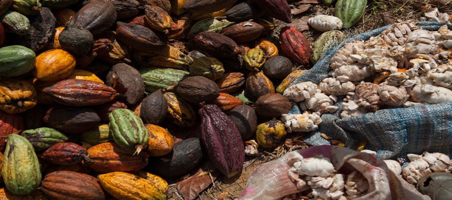  El cacao para julio en Londres LCCc2 subió 21 libras esterlinas, o un 1,3 por ciento, a...