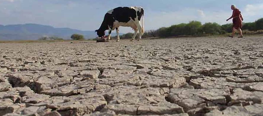 El suroccidental estado mexicano de Oaxaca registra hoy una sequía histórica en buena...