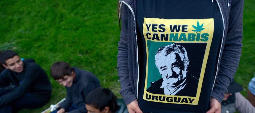 Uruguay es el primer país del mundo que compró, germinó y entregó -en...