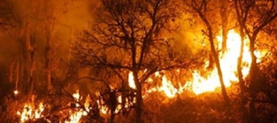 El incendio ha consumido 19.424 hectáreas, un aumento de 9.307 hectáreas respecto a...