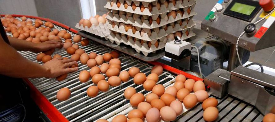 La red de alerta europea ha constatado que se han distribuido huevos sospechosos de...