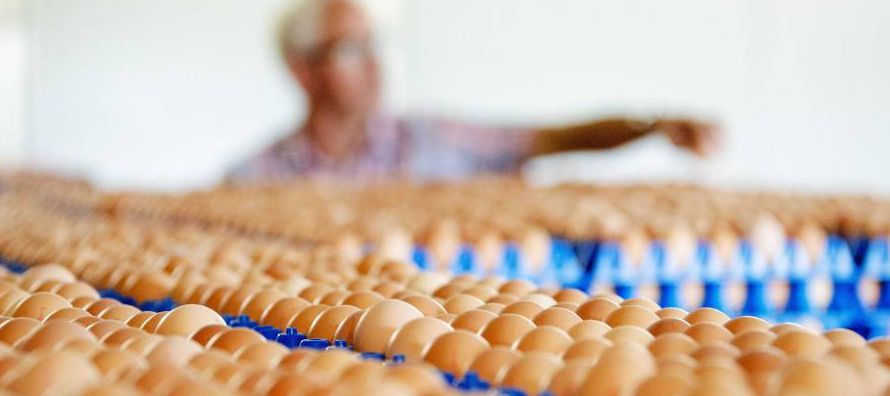 Millones de huevos han sido retirados de los supermercados como resultado de la alerta por el uso...