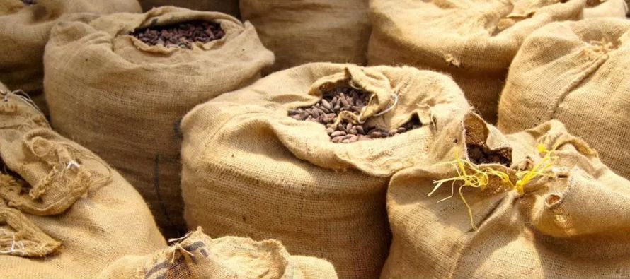 El contrato más activo del cacao para entrega en diciembre en Nueva York perdió 57...