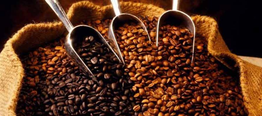 Las exportaciones de café se estabilizaron en los dos últimos meses, pero su volumen...