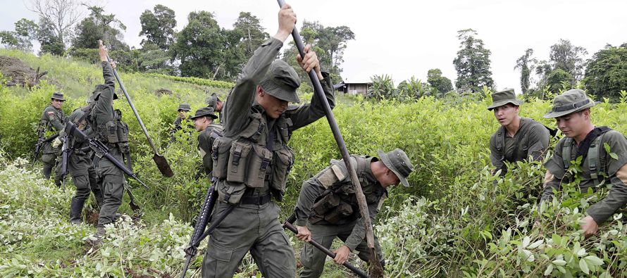 Washington sostiene que los cultivos de hoja de coca en Colombia aumentaron principalmente por la...