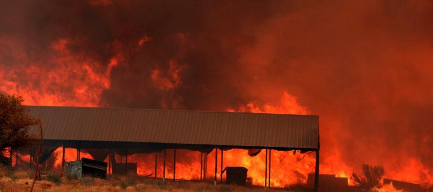 Los muertos por los violentos incendios que azotan el norte de California subieron a 17, informaron...
