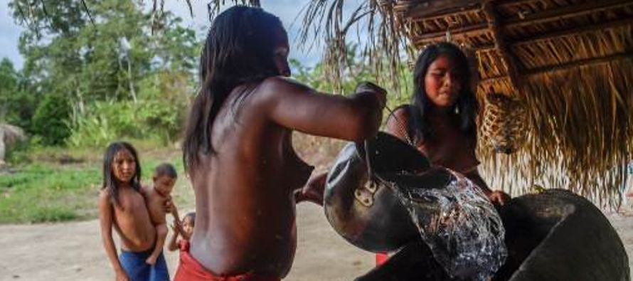 Miembros de la pequeña y remota tribu waiapi, en el norte de Brasil, se acercan los cuencos...
