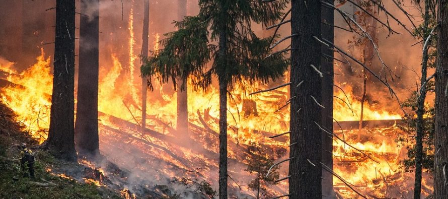 Unos devastadores incendios en el sur de California (EU) han dejado al menos un muerto, 500...